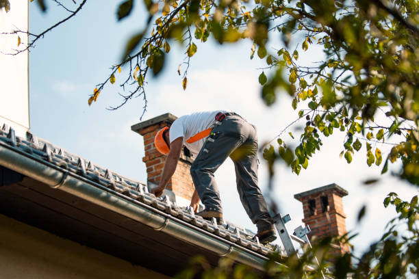 Best Roof Gutter Cleaning  in Carlisle, IA