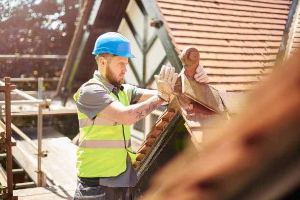 Best Local Roofing Companies  in Carlisle, IA