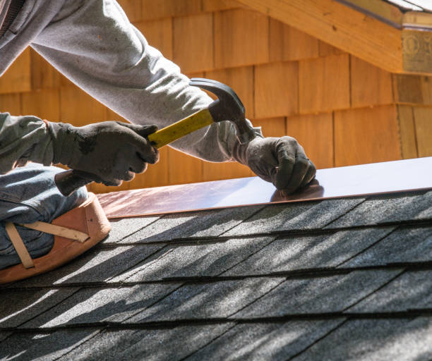 Best Local Roofing Companies  in Carlisle, IA